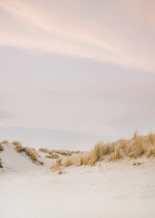 Ameland Dunes 3 | Canvas