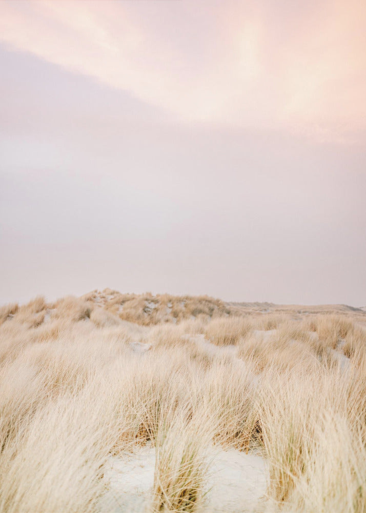 Ameland Dunes 2 | Poster