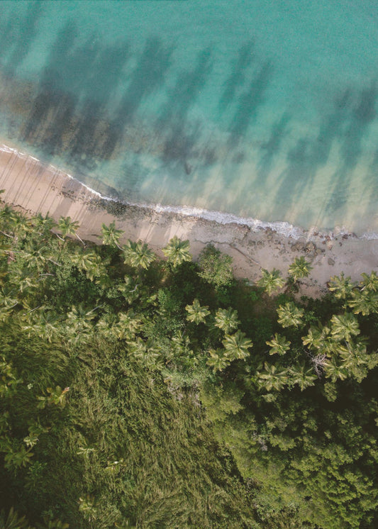 Palm Beach from Above | Poster