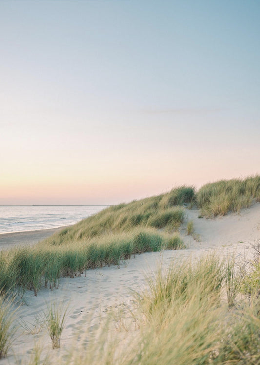 Dutch Dunes | Poster