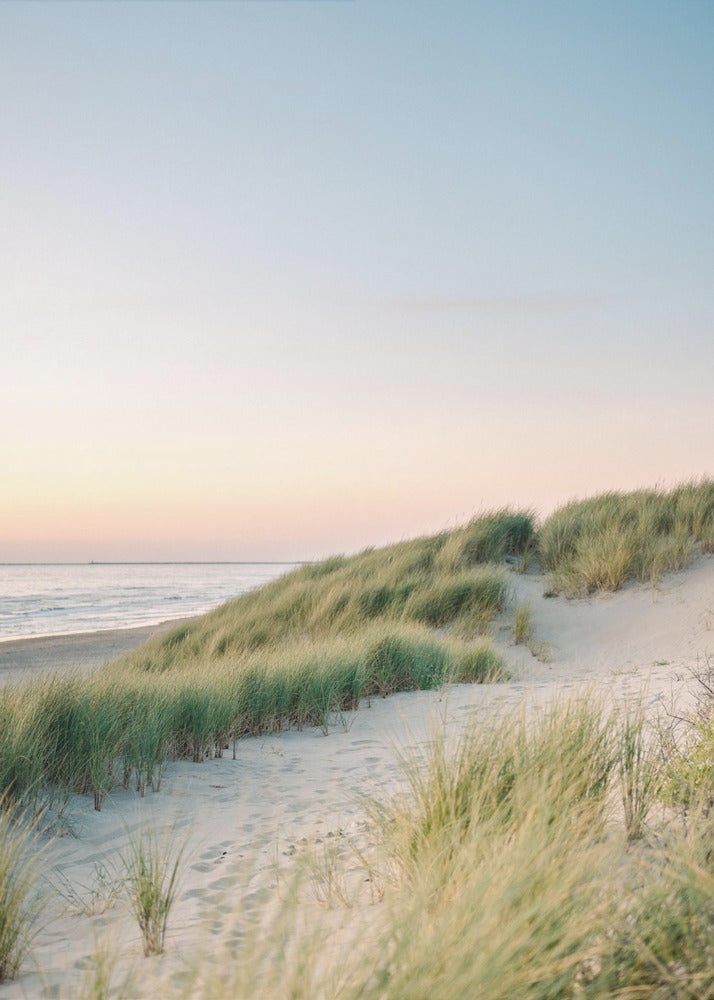 Dutch Dunes | Canvas