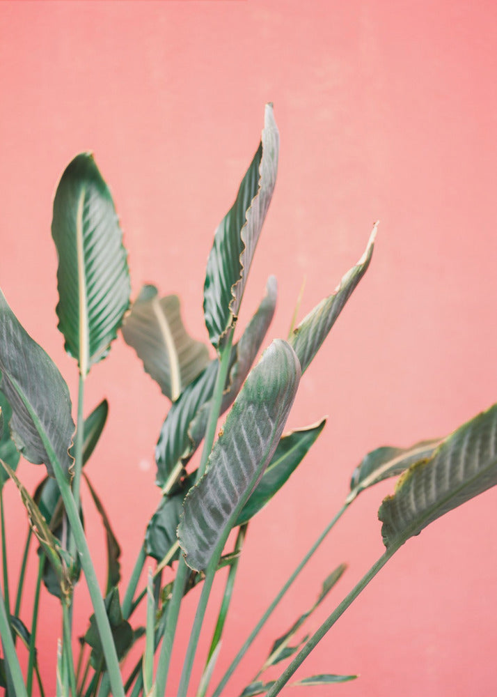 South Of Spain 7 | Canvas