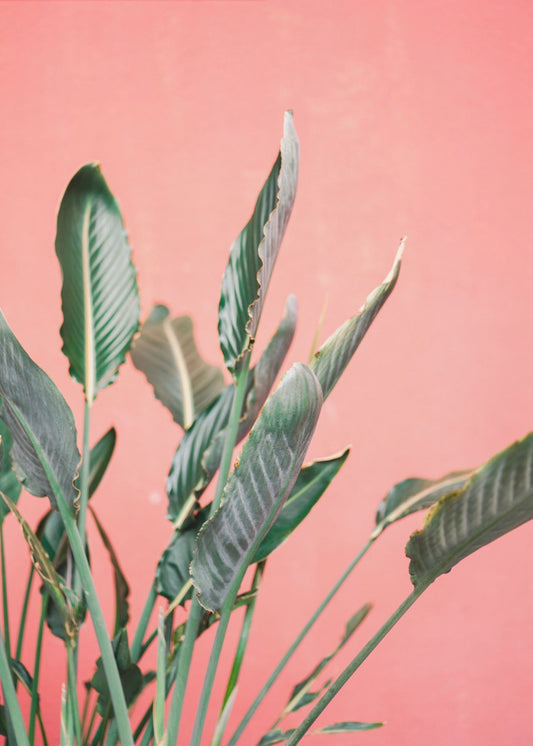 South Of Spain 7 | Canvas