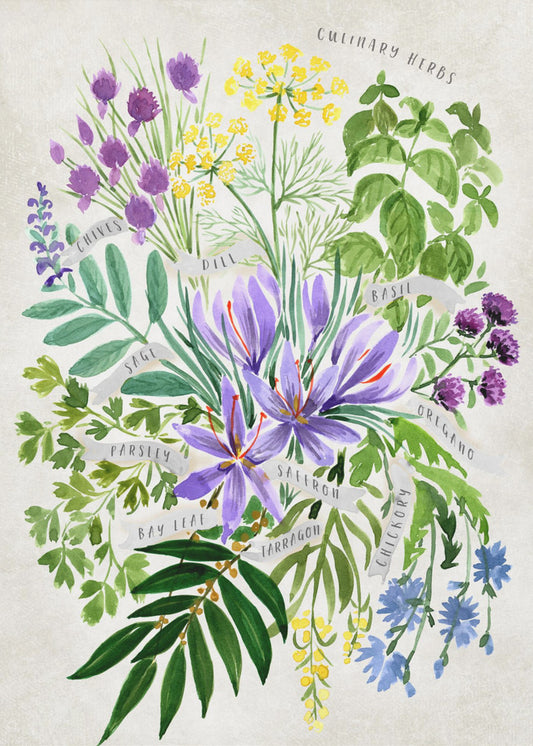 Culinary herbs in vintage gray | Poster