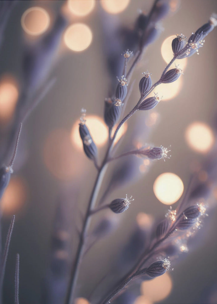 Dreamy Lavender Hues | Canvas