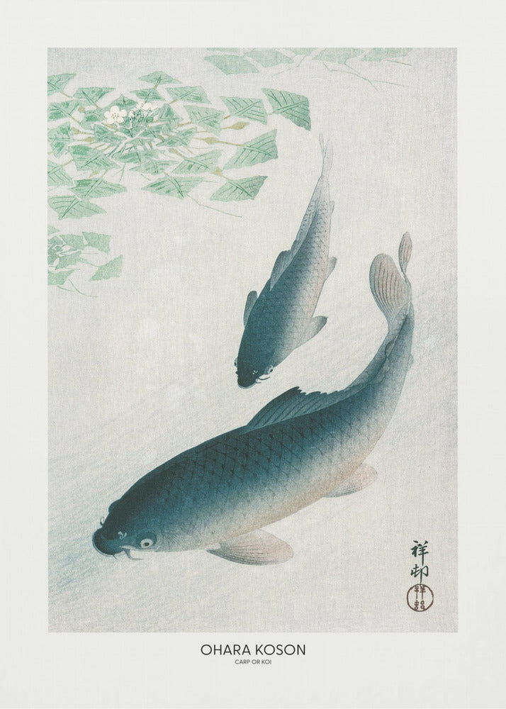 Carp Or Koi | Canvas