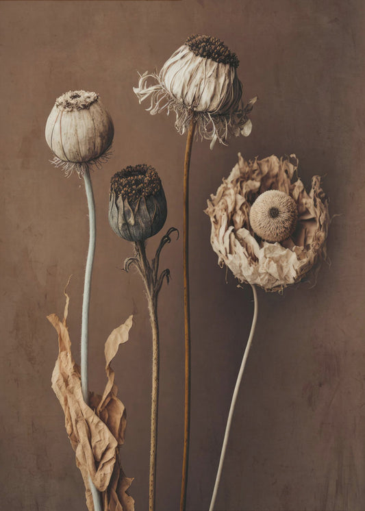 Faded Elegance | Canvas