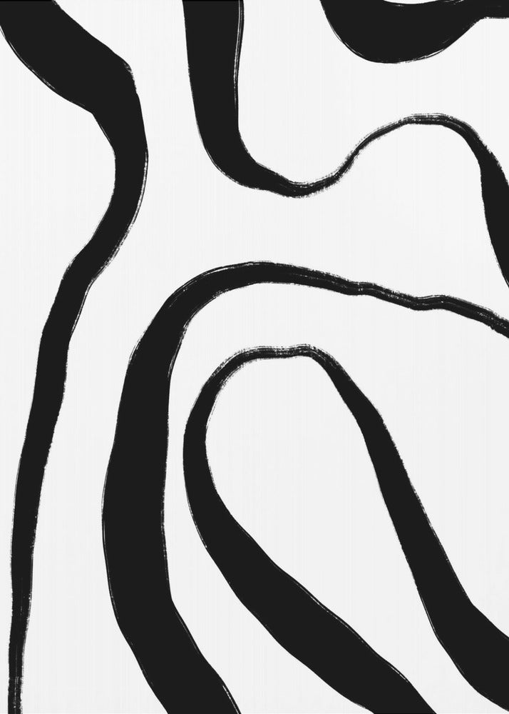 Zebra Flow Harmony | Poster