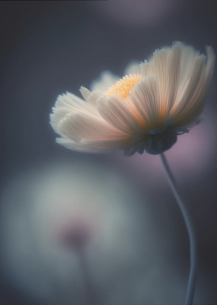 Ethereal Blossom | Poster
