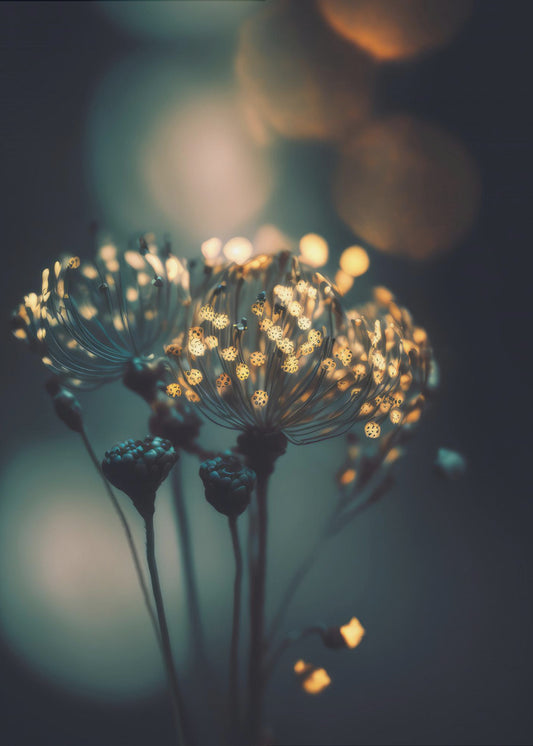 Enchanted Blossoms | Poster