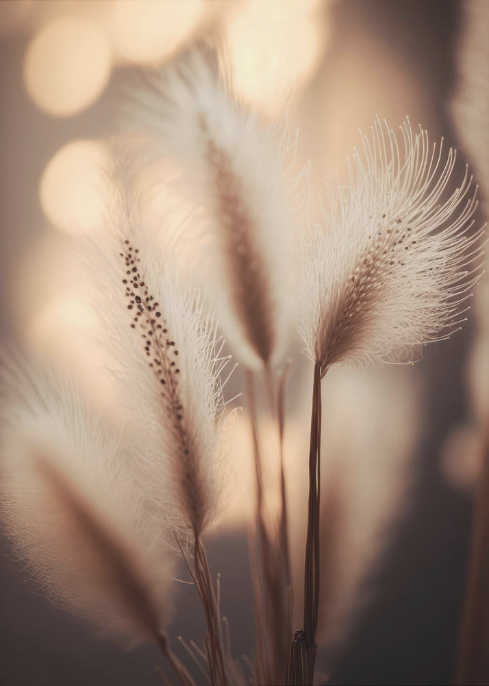 Whispering Fields | Canvas