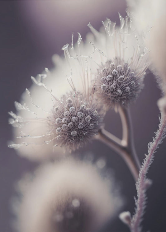 Ethereal Blooms | Canvas