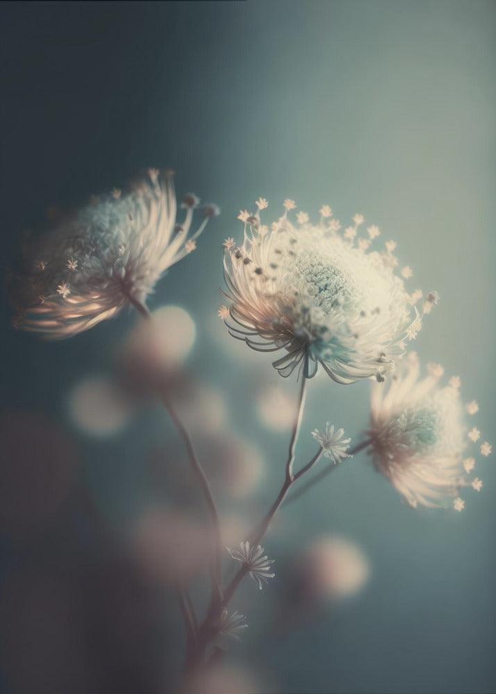 Ethereal Blossoms | Poster