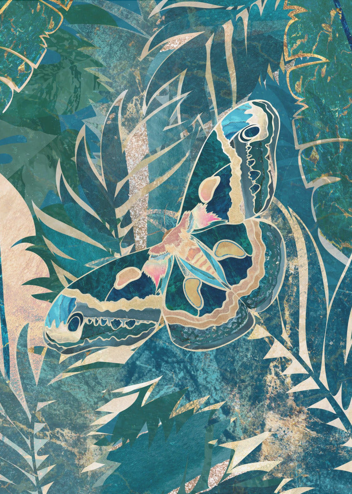 Moth in the rainforest | Poster