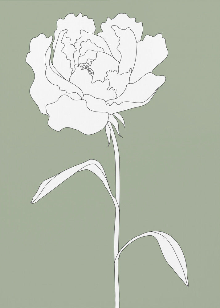 Rose in Green | Poster