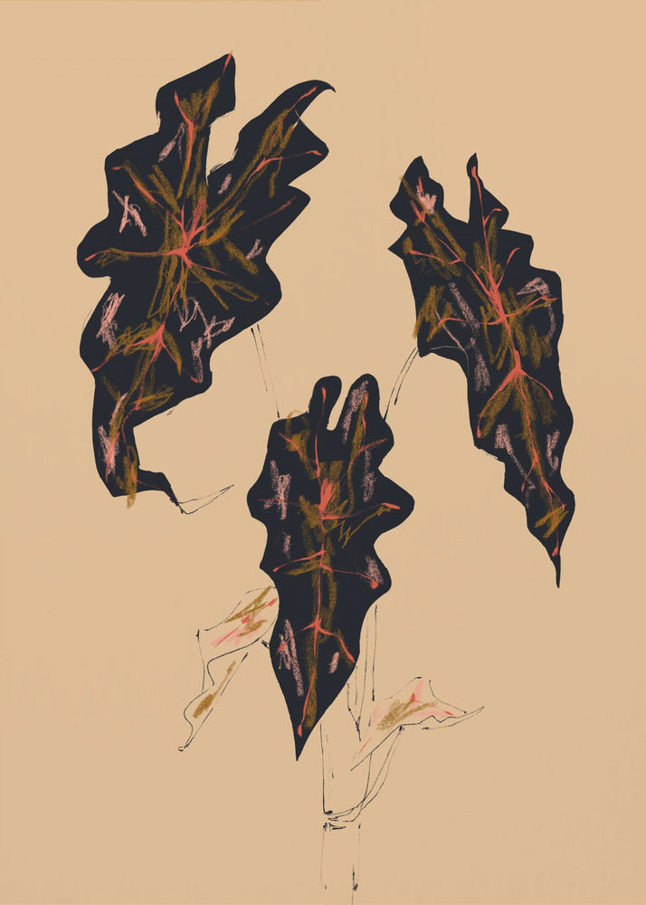 Alocasia Polly Beige | Canvas