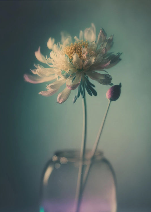 Ethereal Blossom | Canvas