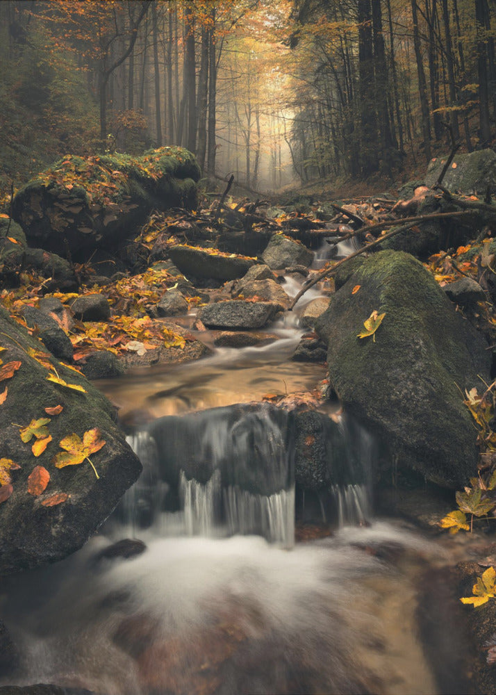 Dreamy Autumn | Canvas