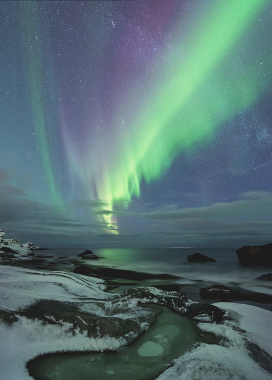 Green Fairy | Poster