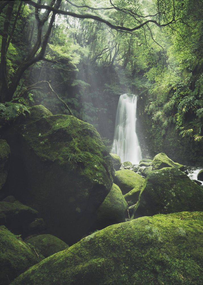 Mystic Falls | Poster