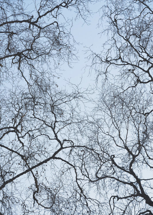 Abstract Tree | Poster