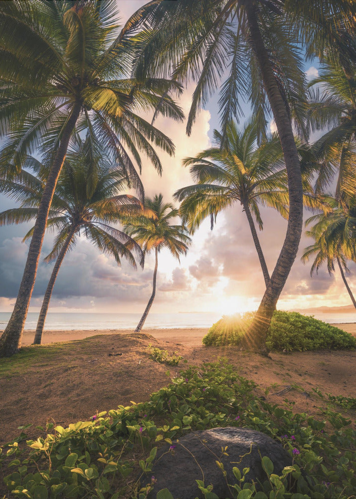 Vertical Paradise | Canvas