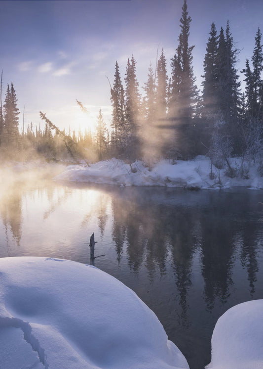 Alaskan Winter | Canvas
