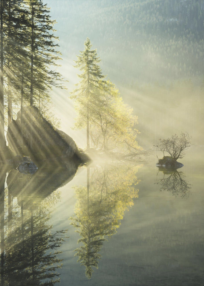 God Rays vertical | Poster