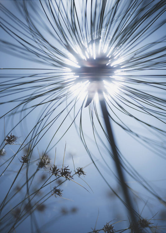 Botanic Blue | Canvas