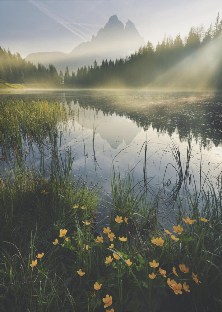 Mountain Paradise | Poster