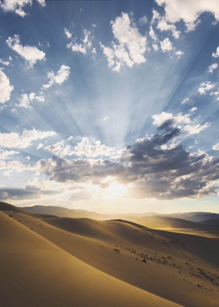 Desert Rays | Poster