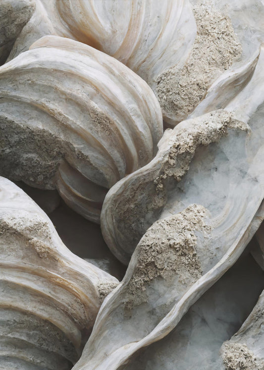 Shell Symphony | Poster