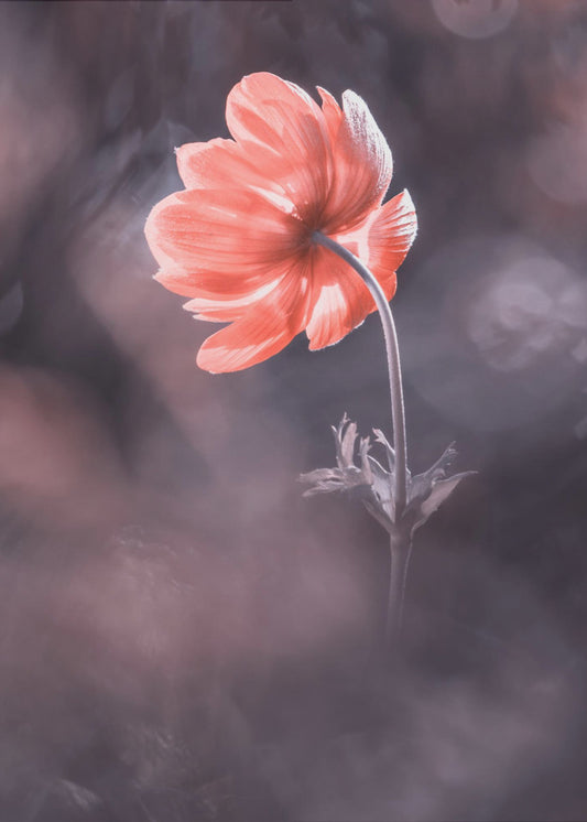 The Lighthouse | Poster