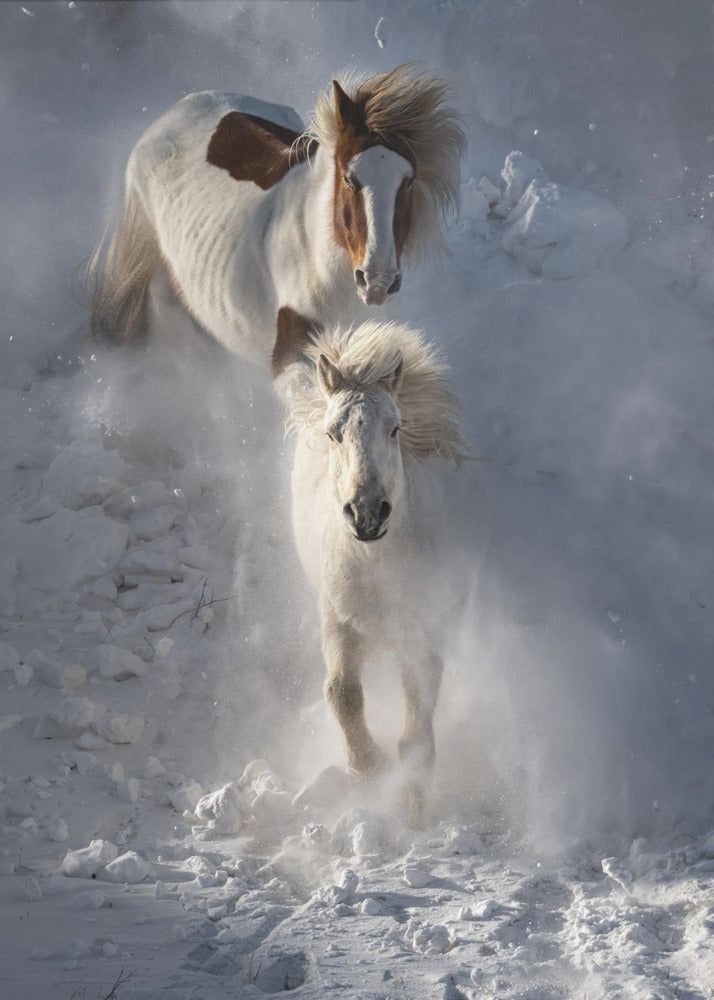 Two Horses | Poster