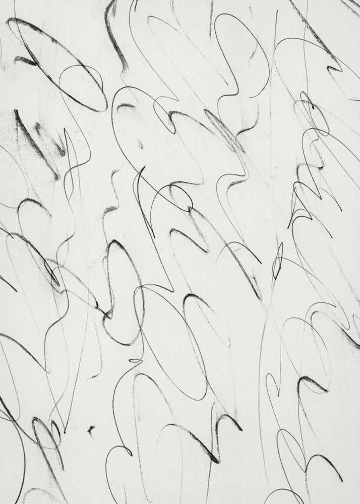 Script | Canvas