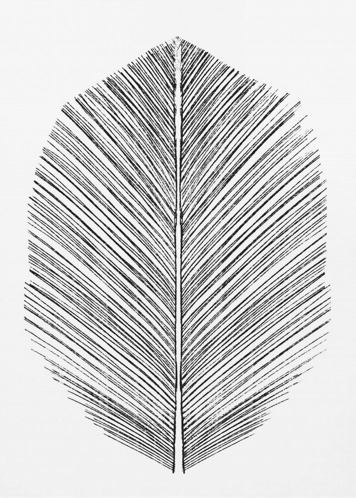 Feather | Canvas