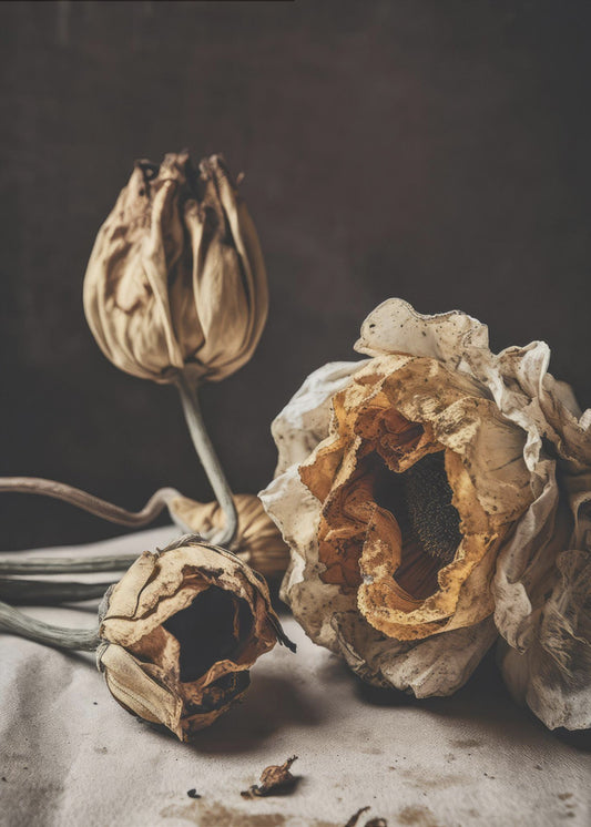 Whispers of Decay | Canvas