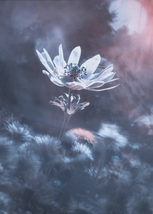 The divine sound of creation | Canvas