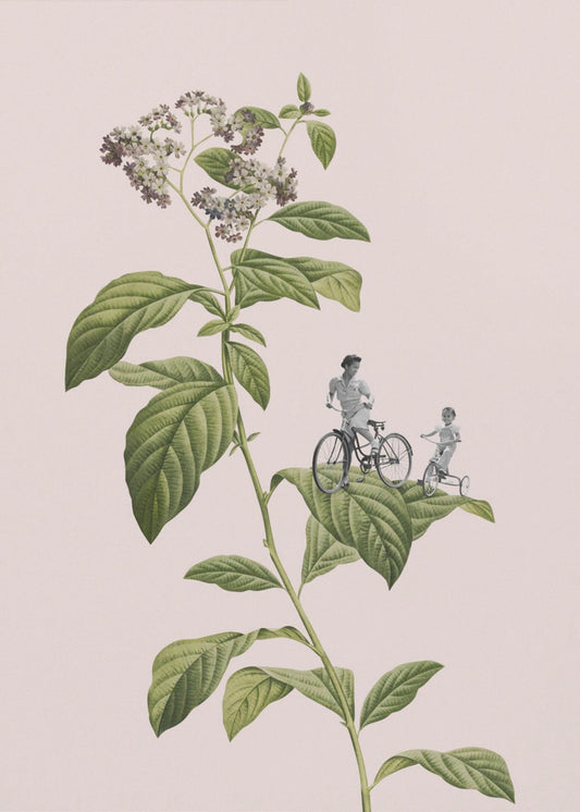 Botanical cycling | Canvas