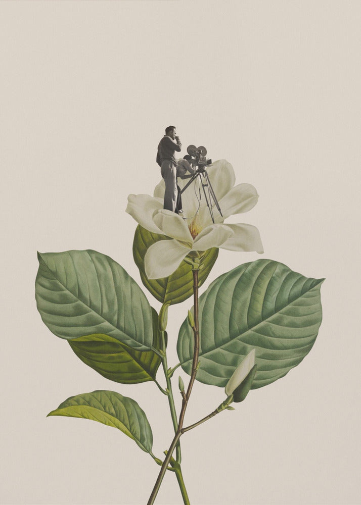 Botanical vintage cameraman | Canvas