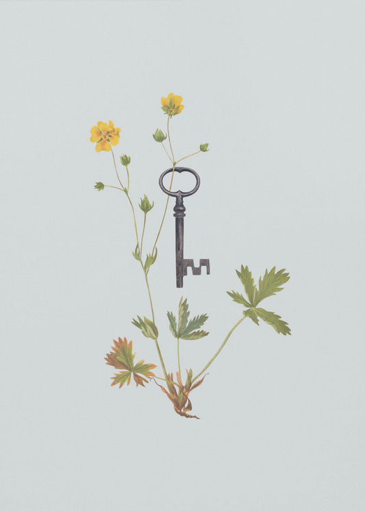 Botanical vintage key | Canvas