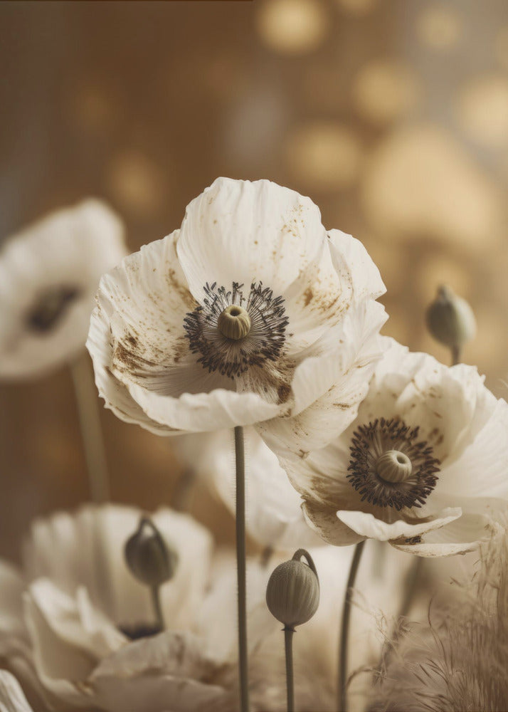 Whispering Blooms | Canvas