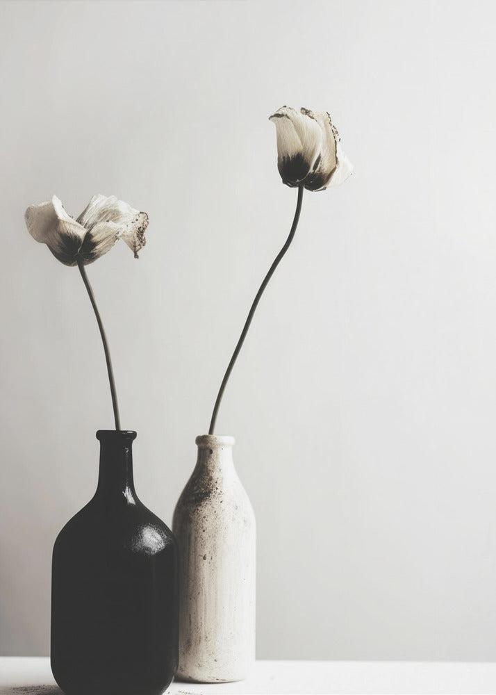 Dual Elegance | Poster