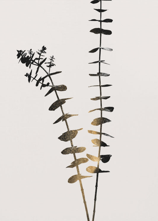 Eucalyptus Dark Gold | Poster