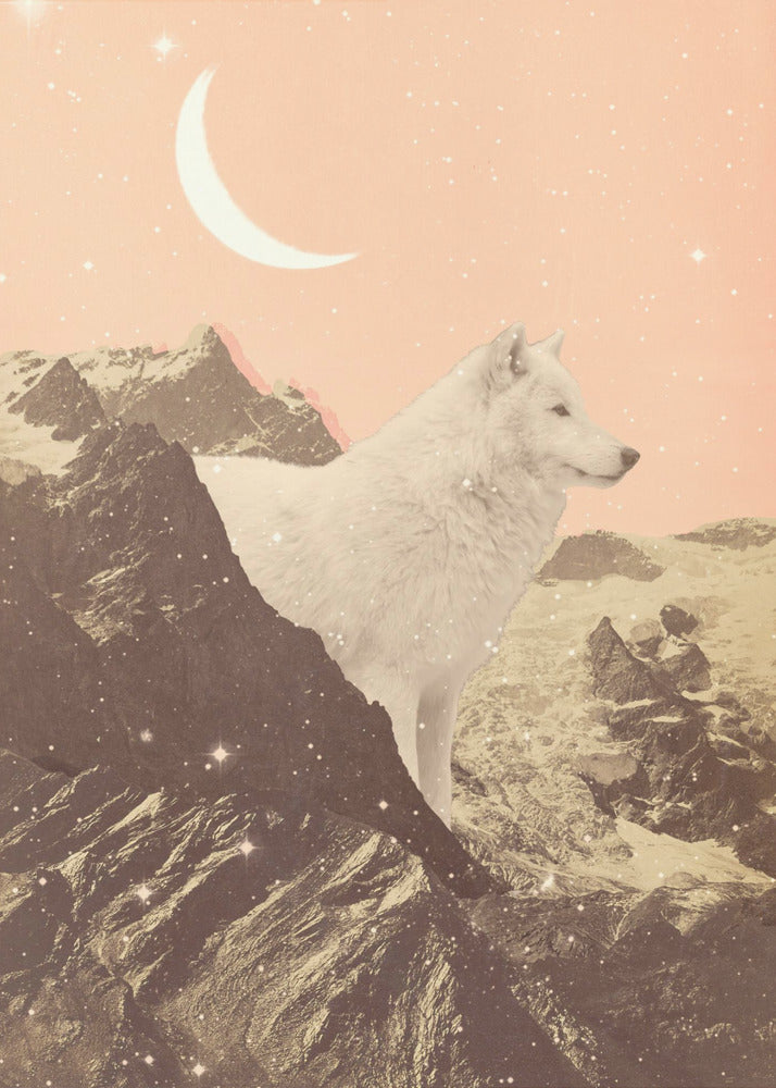 Giant White Wolf In Mountains | Poster