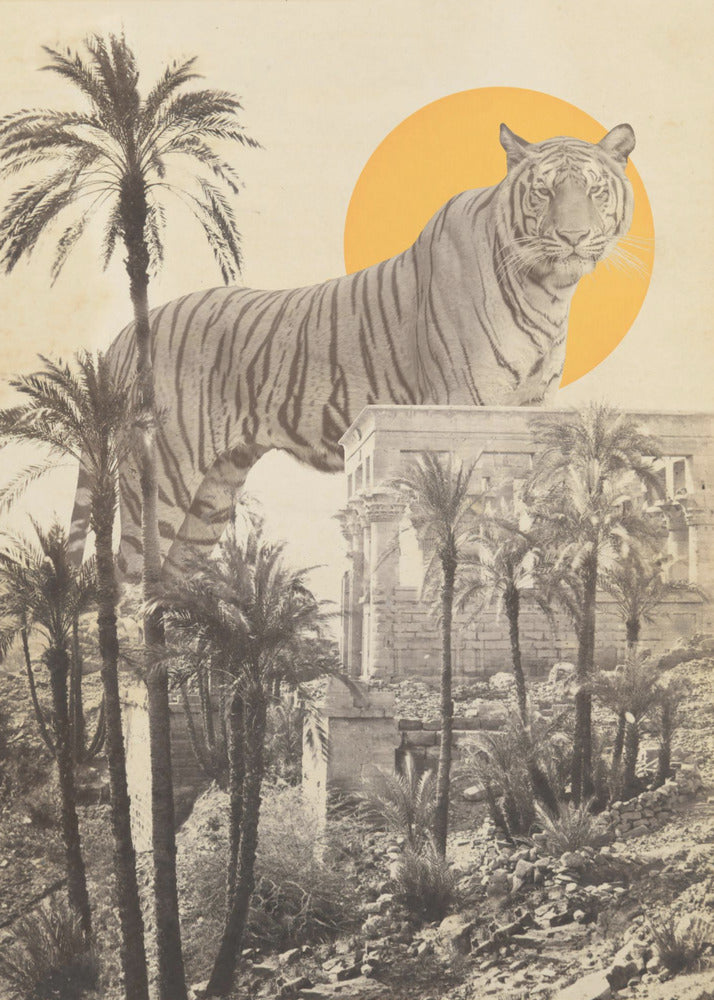 Giant Tiger In Ruins | Poster