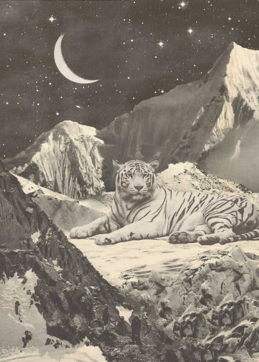 Giant White Tiger | Canvas