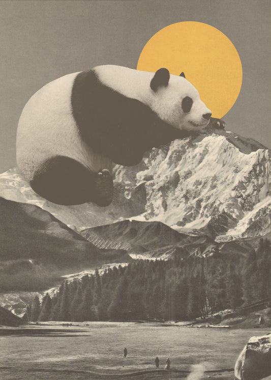 Giant Panda Nap | Canvas