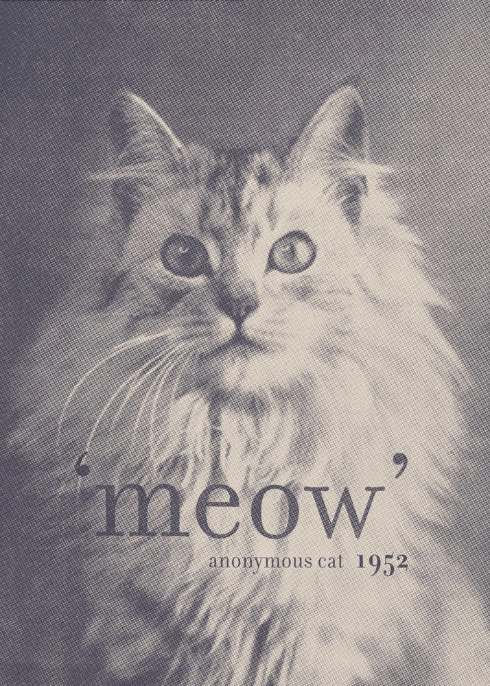 Famous Quote Cat | Canvas