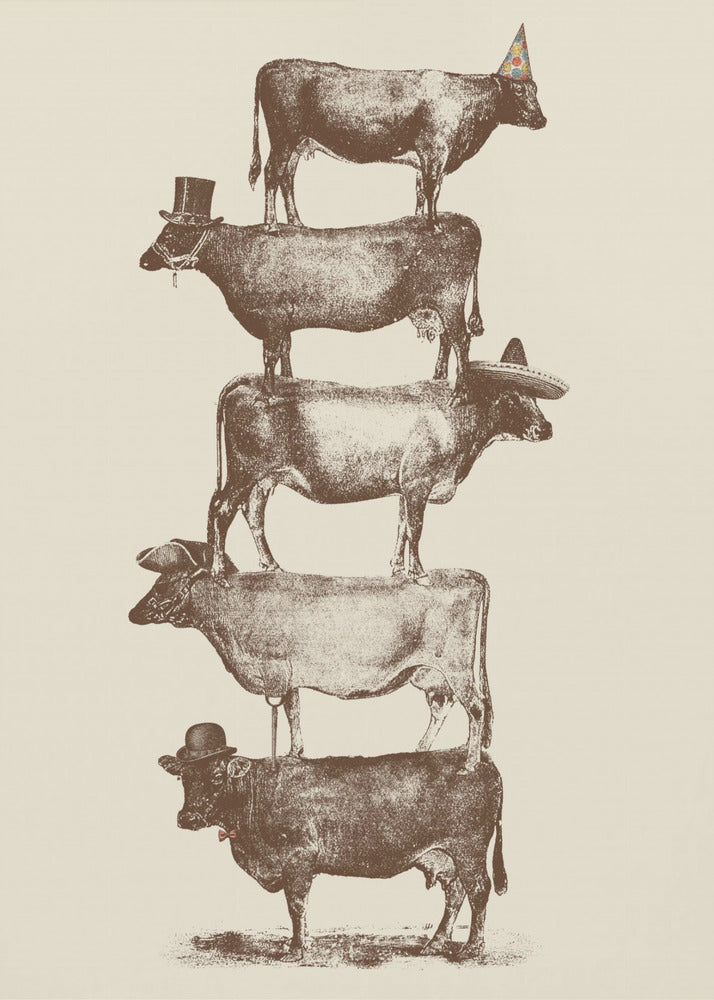Cow Cow Nuts | Poster